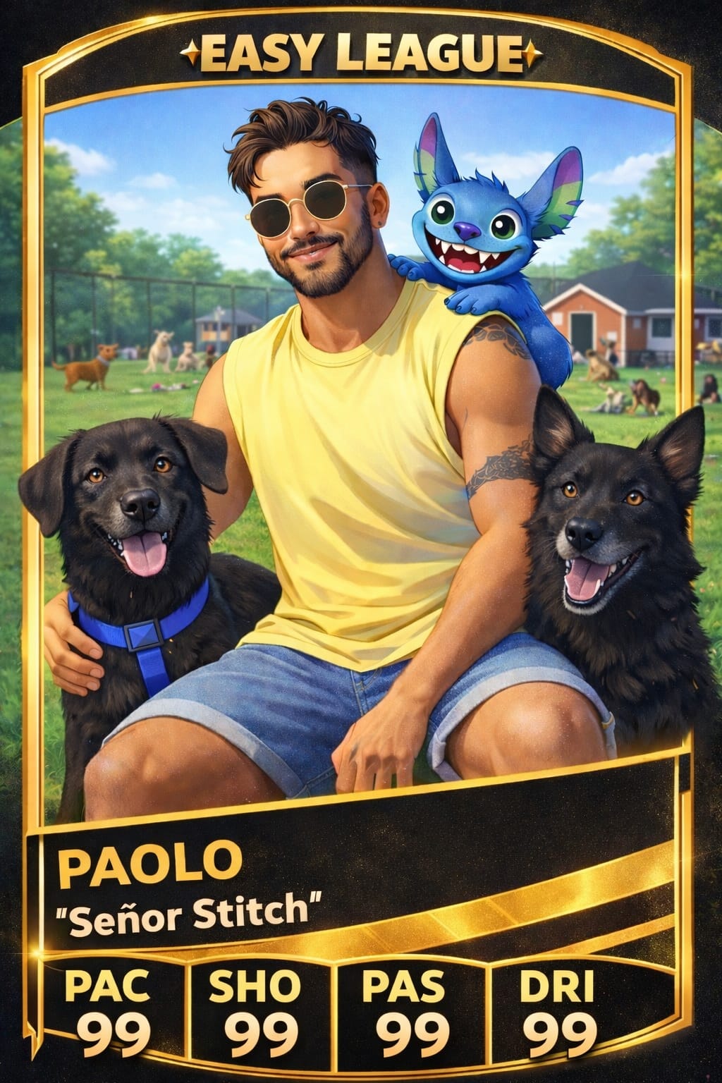 Señorstitch
